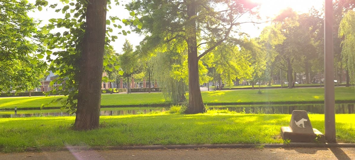 Ahllen - Foto 3