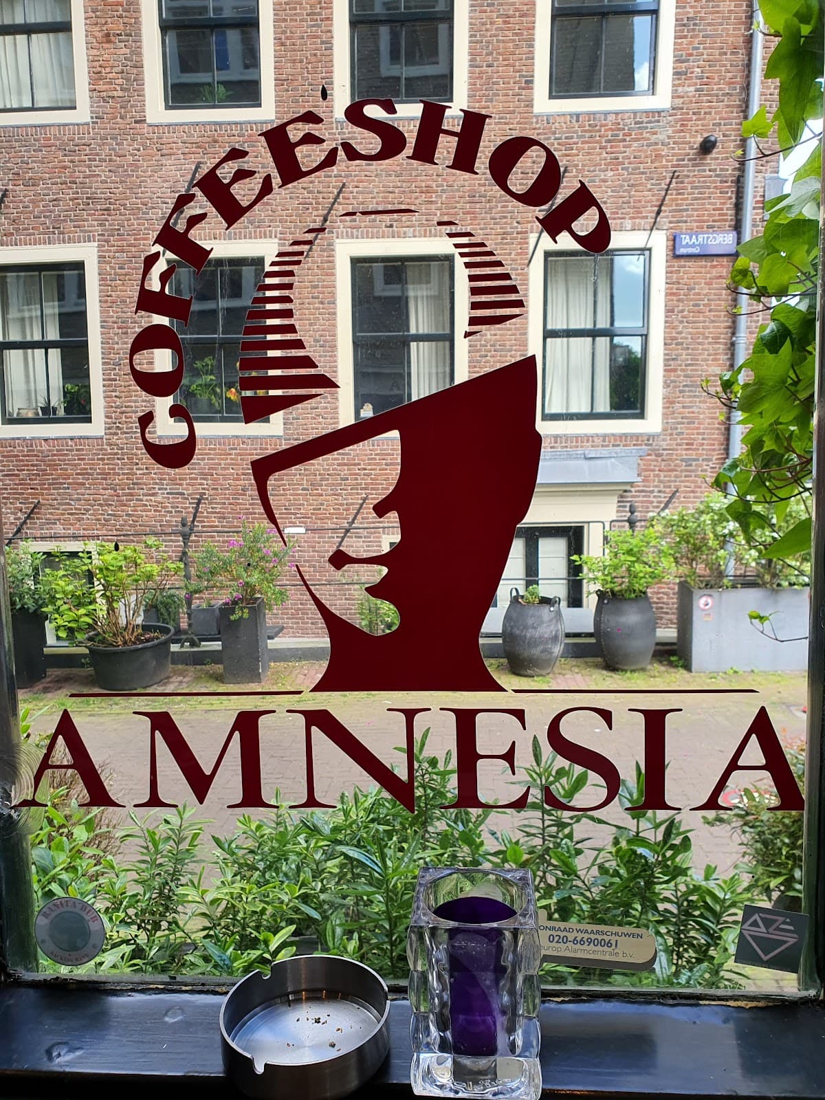 Amnesia