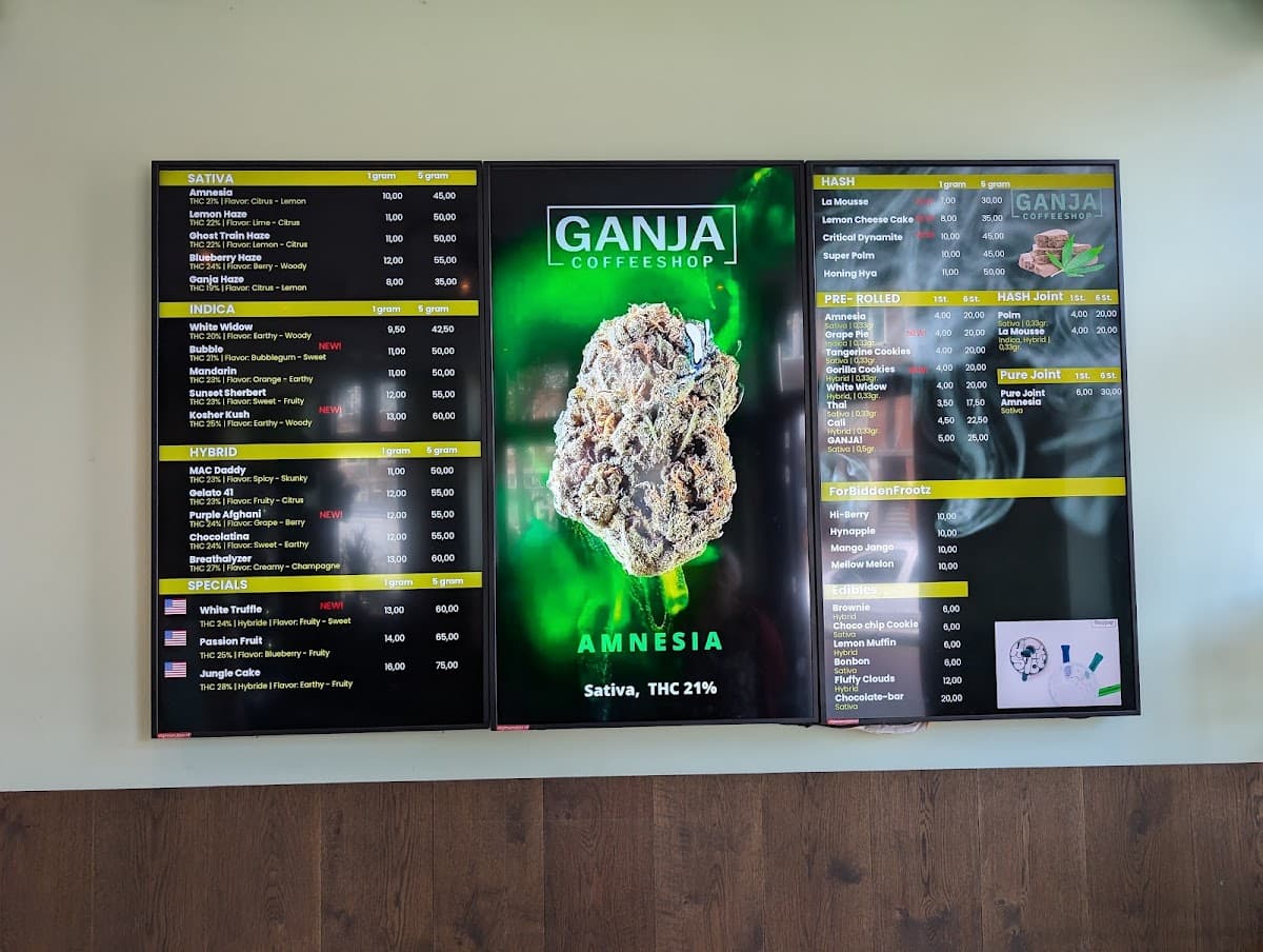 Ganja - Foto 3