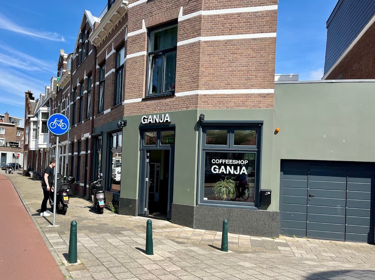 Ganja - Foto 4