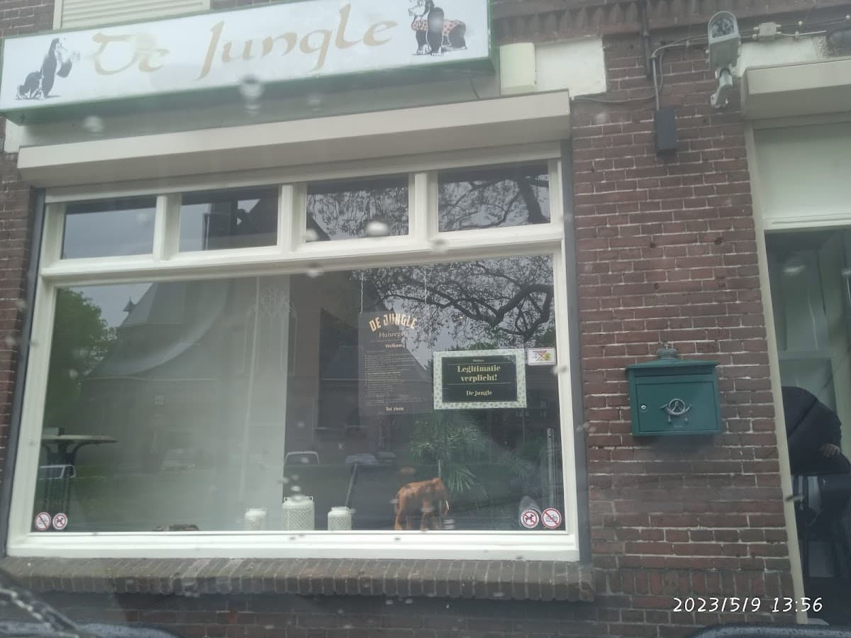 De Jungle