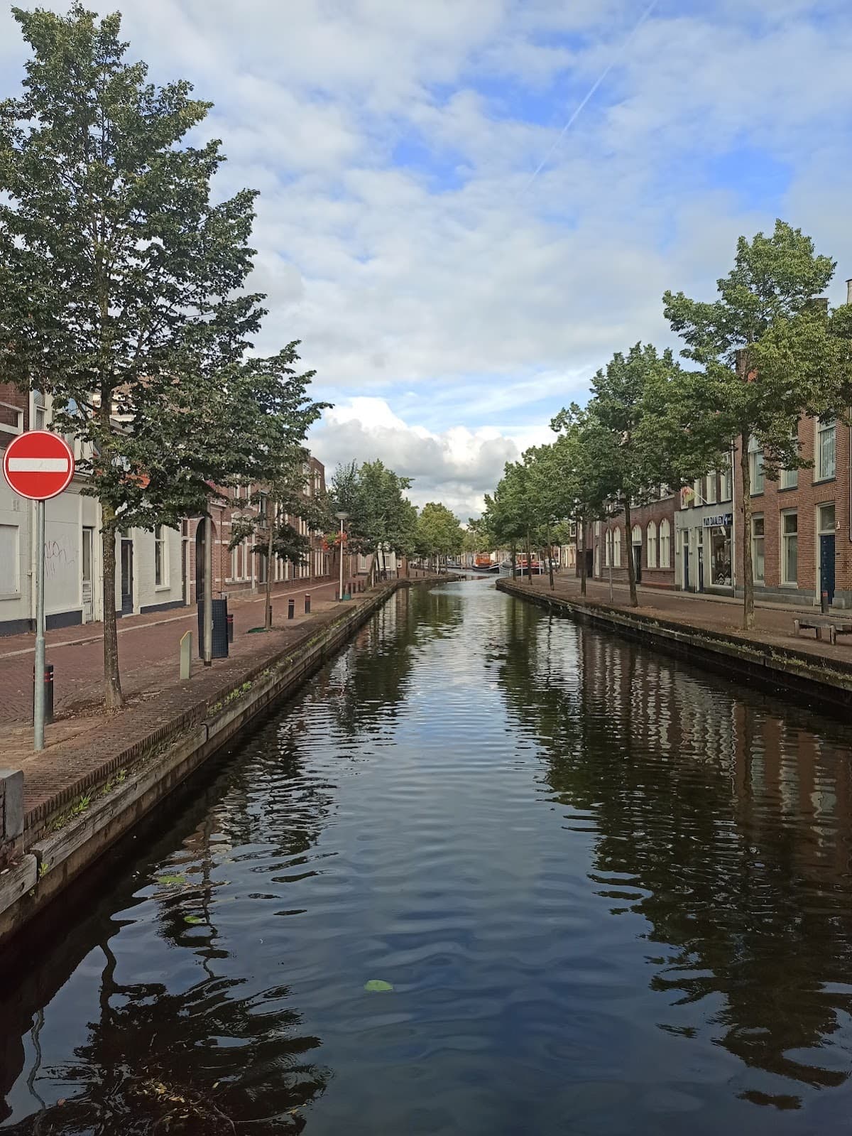 De Swaan - Foto 3