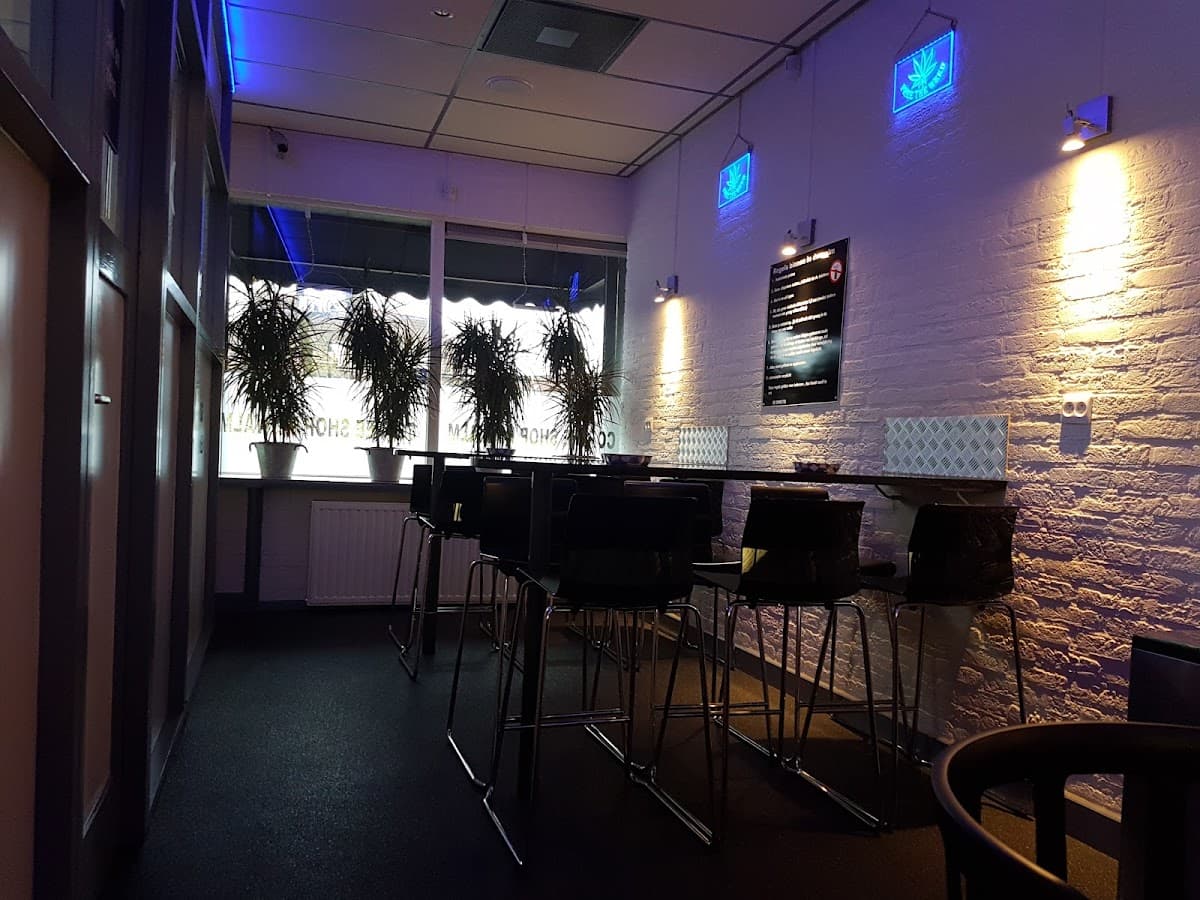 De Walm - Foto 4