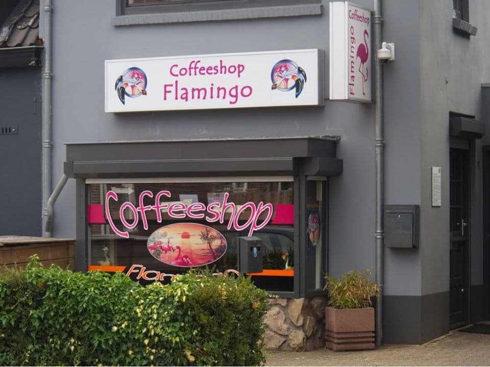 Flamingo