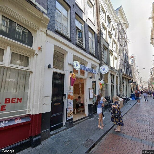 Het Oerwoud