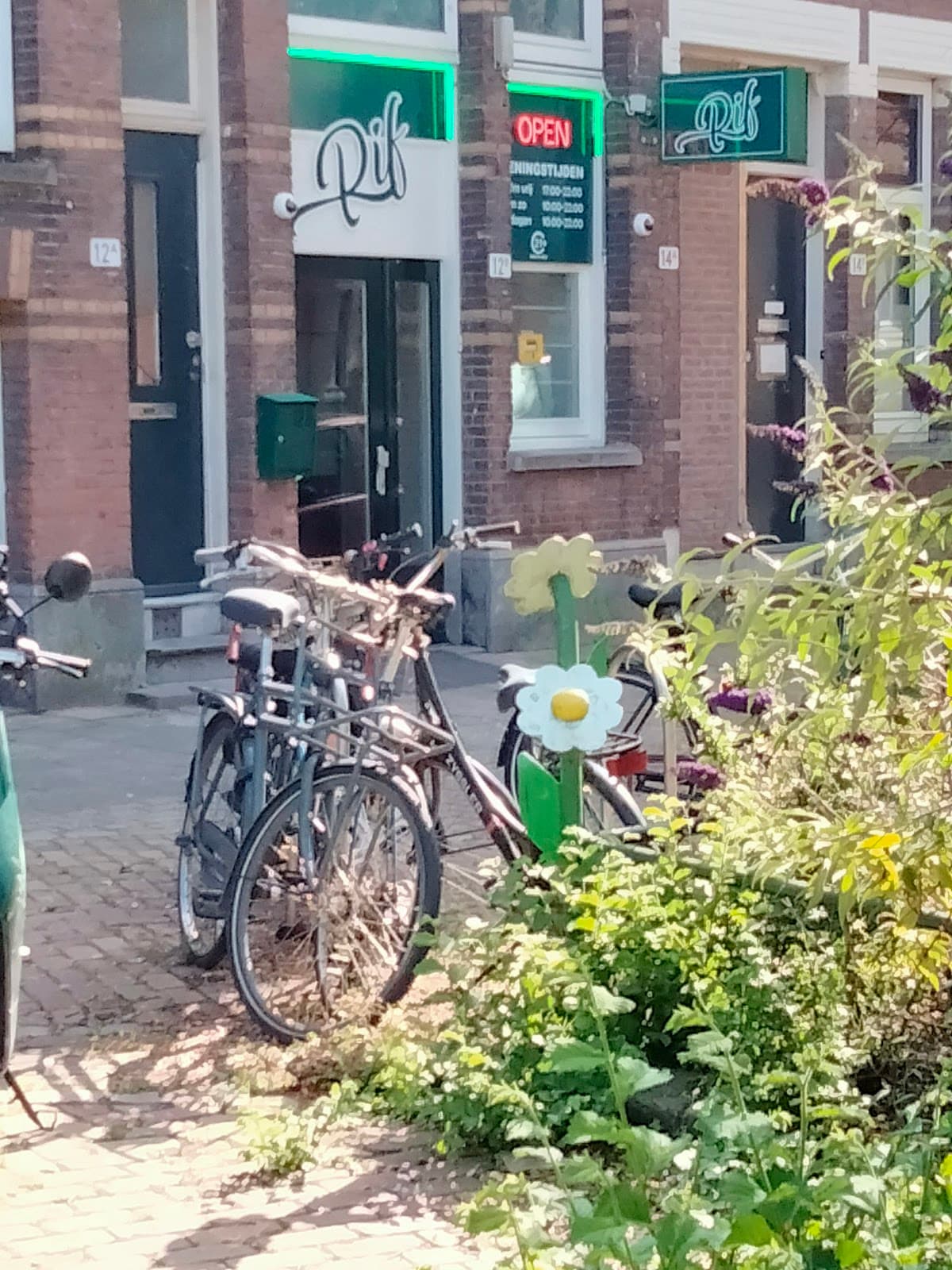 Rif - Foto 3