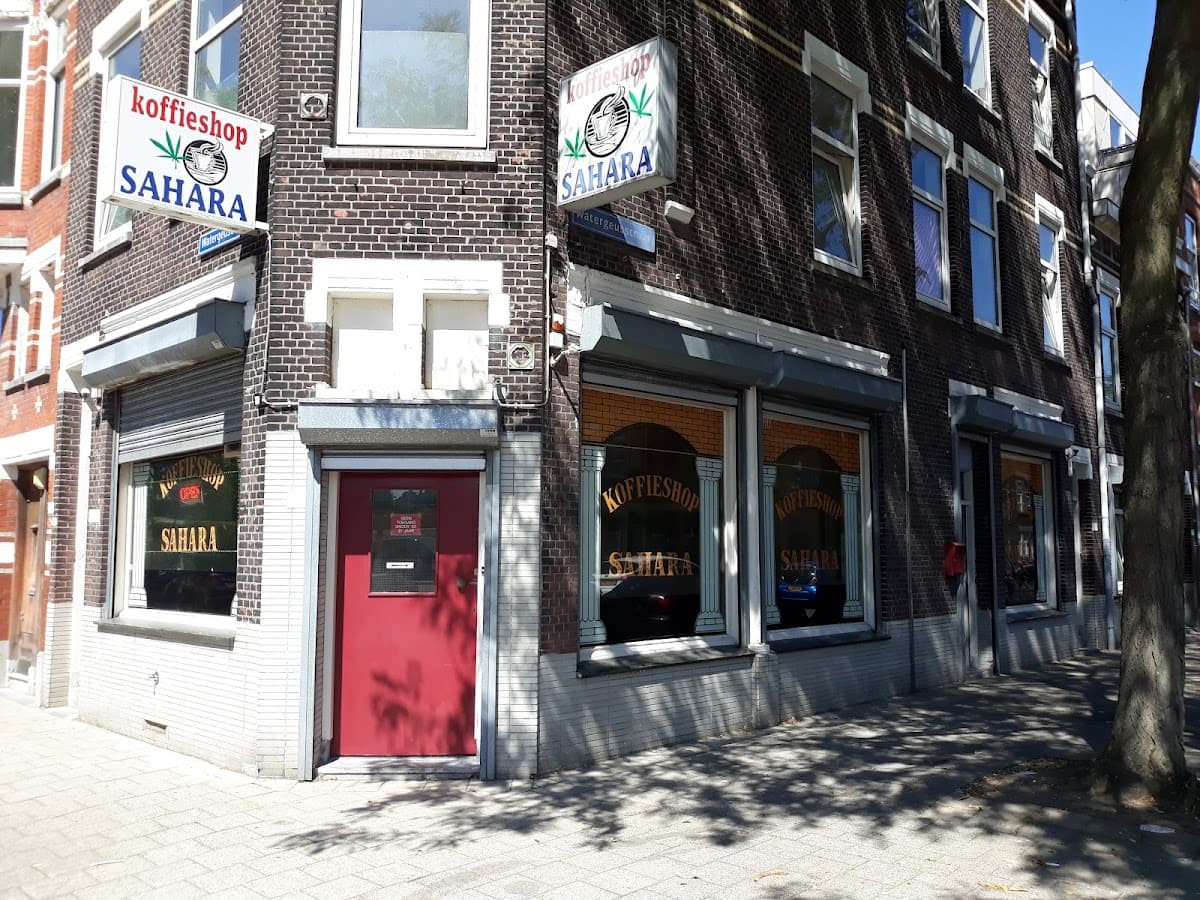 Sahara - Foto 3
