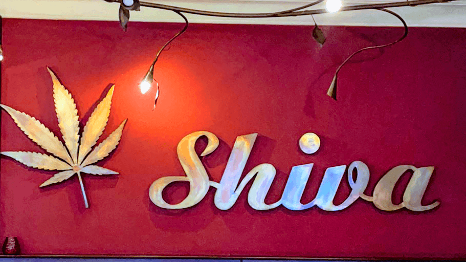 Shiva - Foto 2