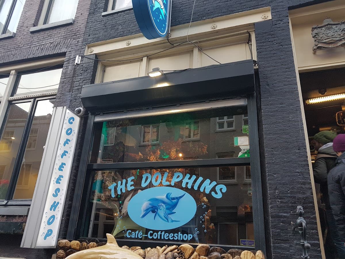 The Dolphins