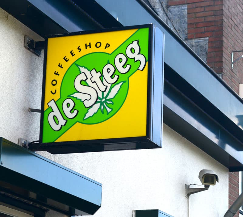 De Steeg - Hoofdfoto