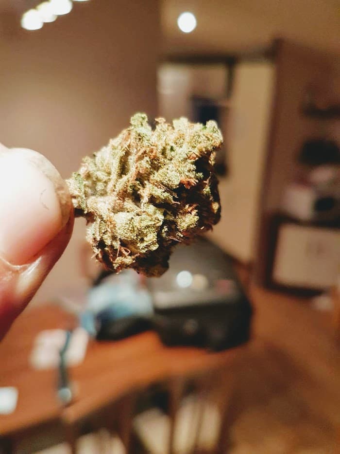 Crackers - Hoofdfoto