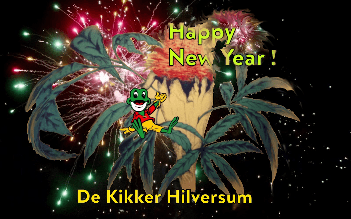 de Kikker - Foto 4