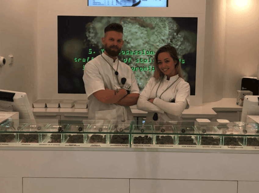 Doctor Green - Hoofdfoto