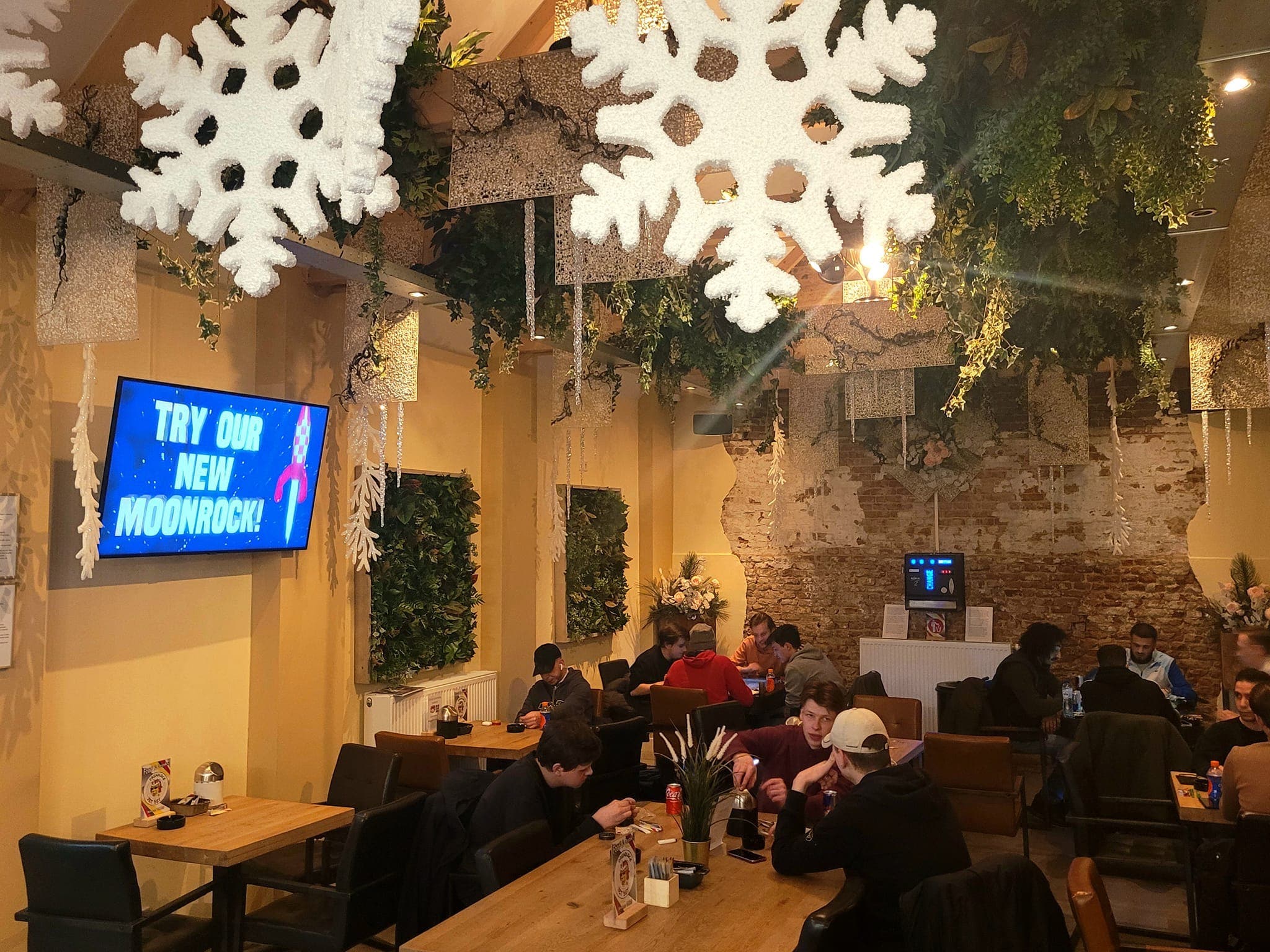 Dreadlock & Jetset - Foto 4