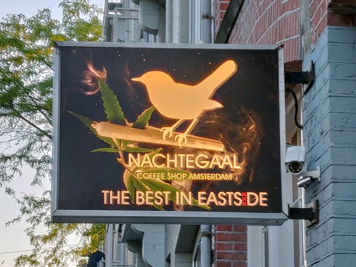 Nachtegaal - Foto 3