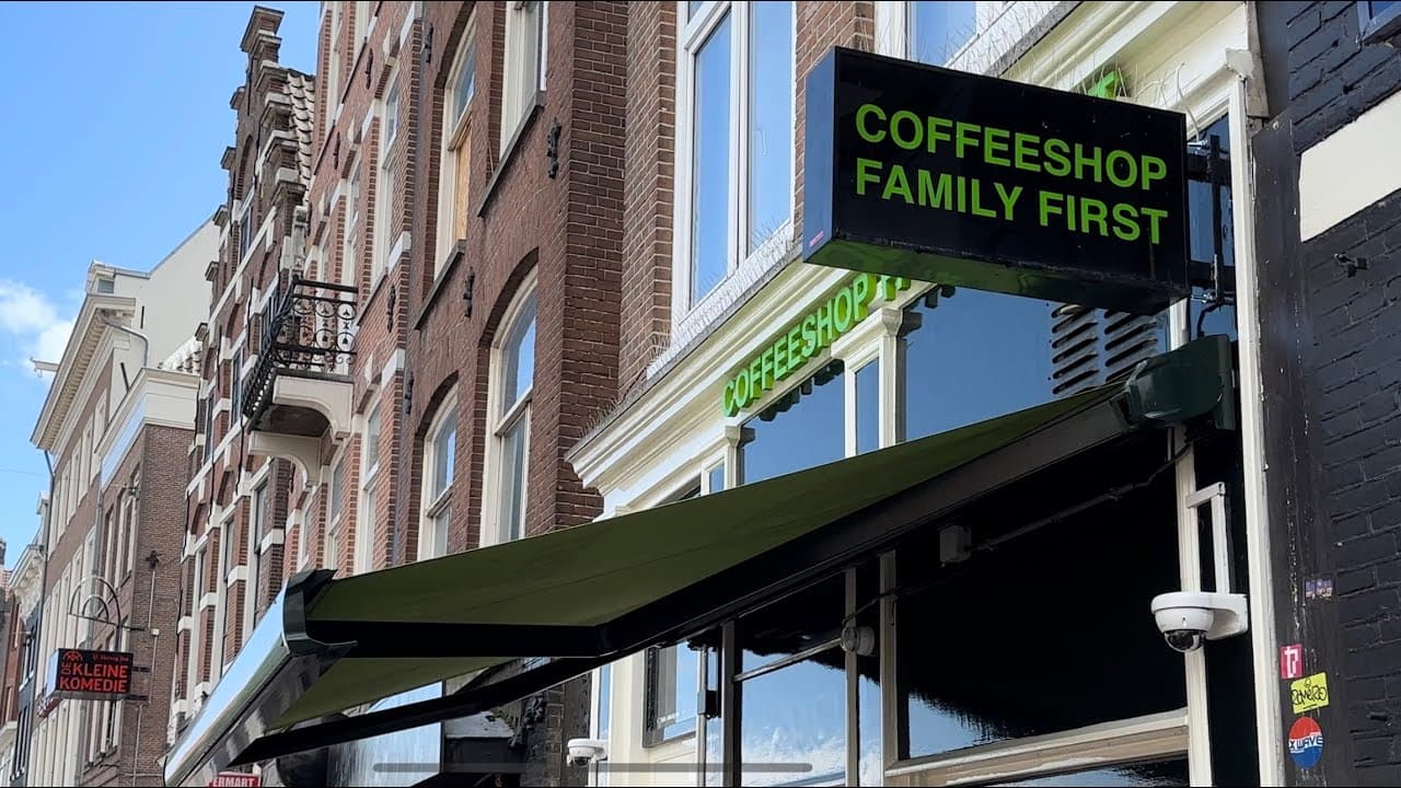 Family First - Foto 3