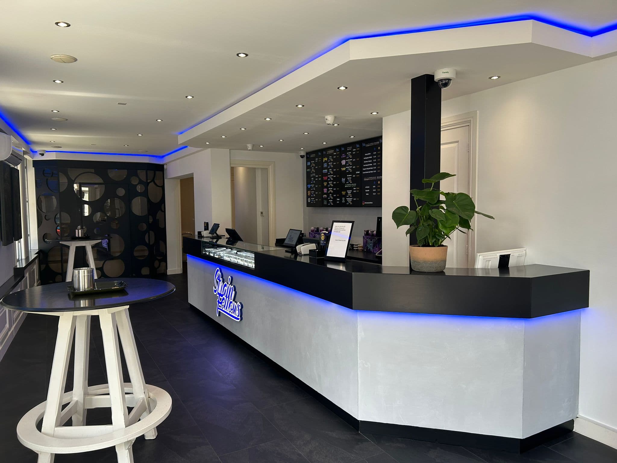 Strain Fellows - Foto 4