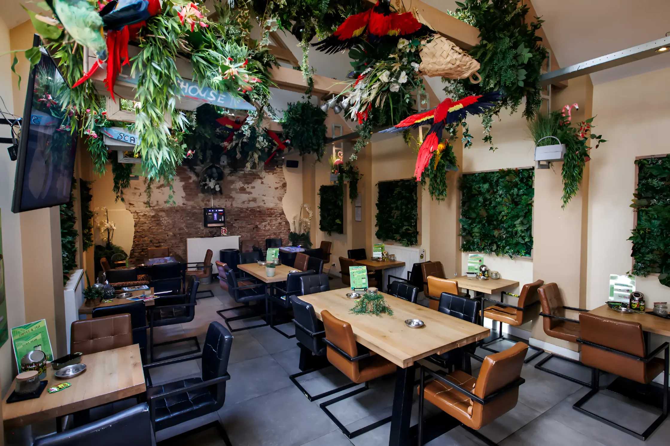 Dreadlock & Jetset - Foto 3