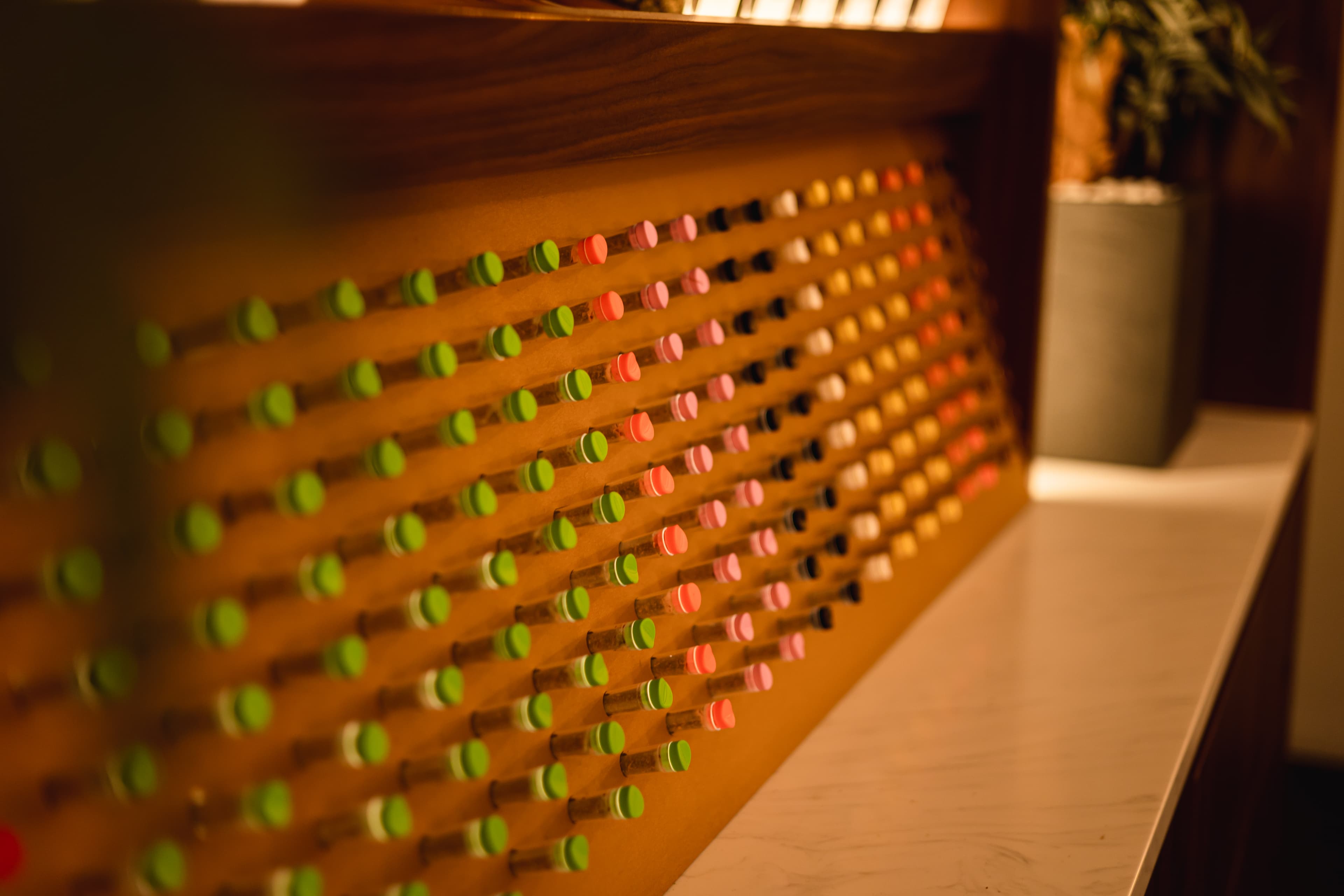 De Rode Leeuw - Foto 3