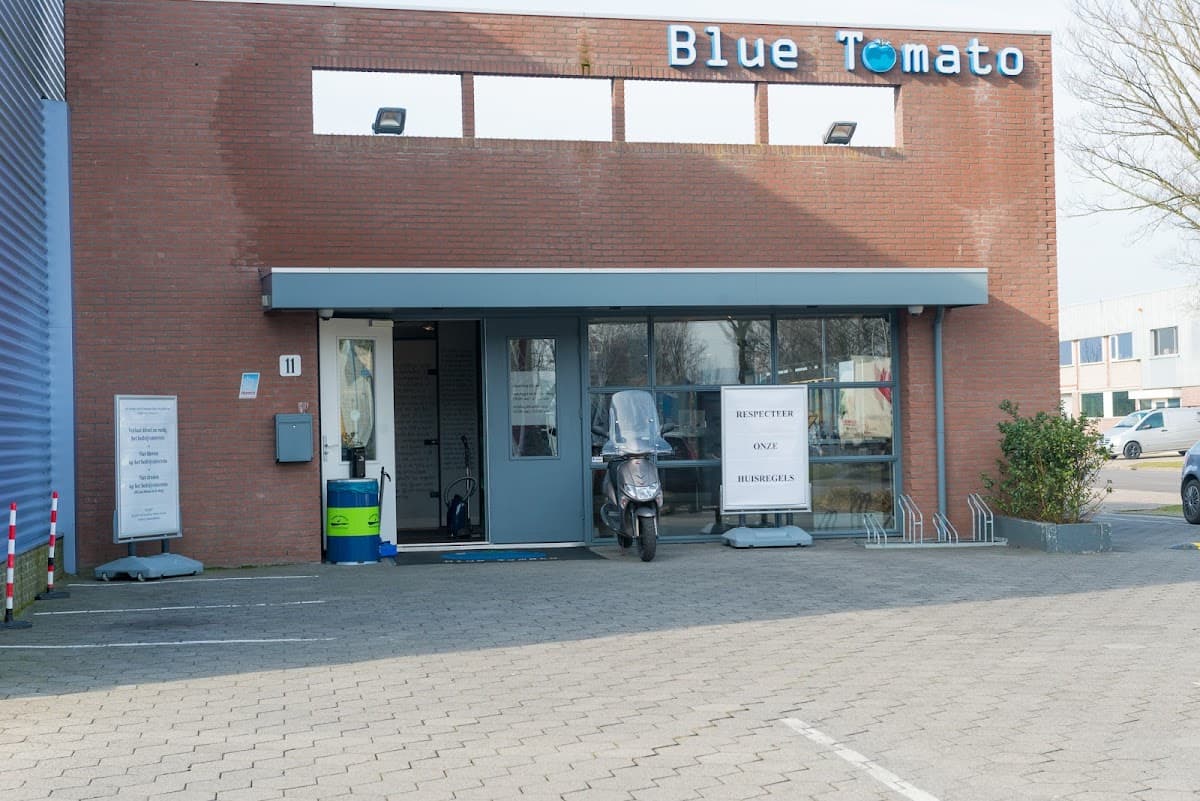 The Blue Tomato
