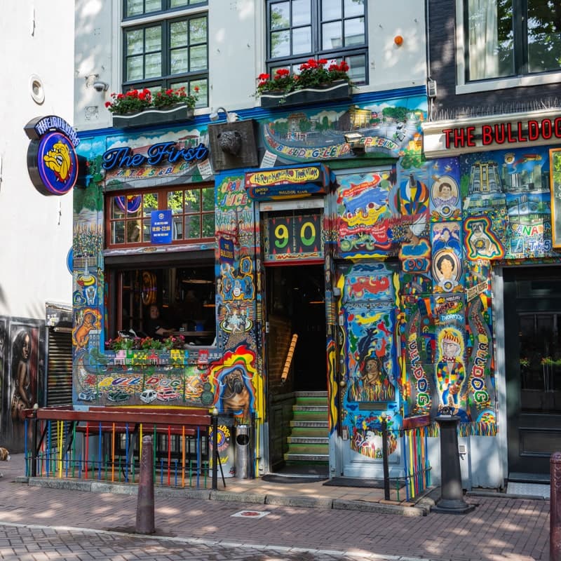 The Bulldog The First