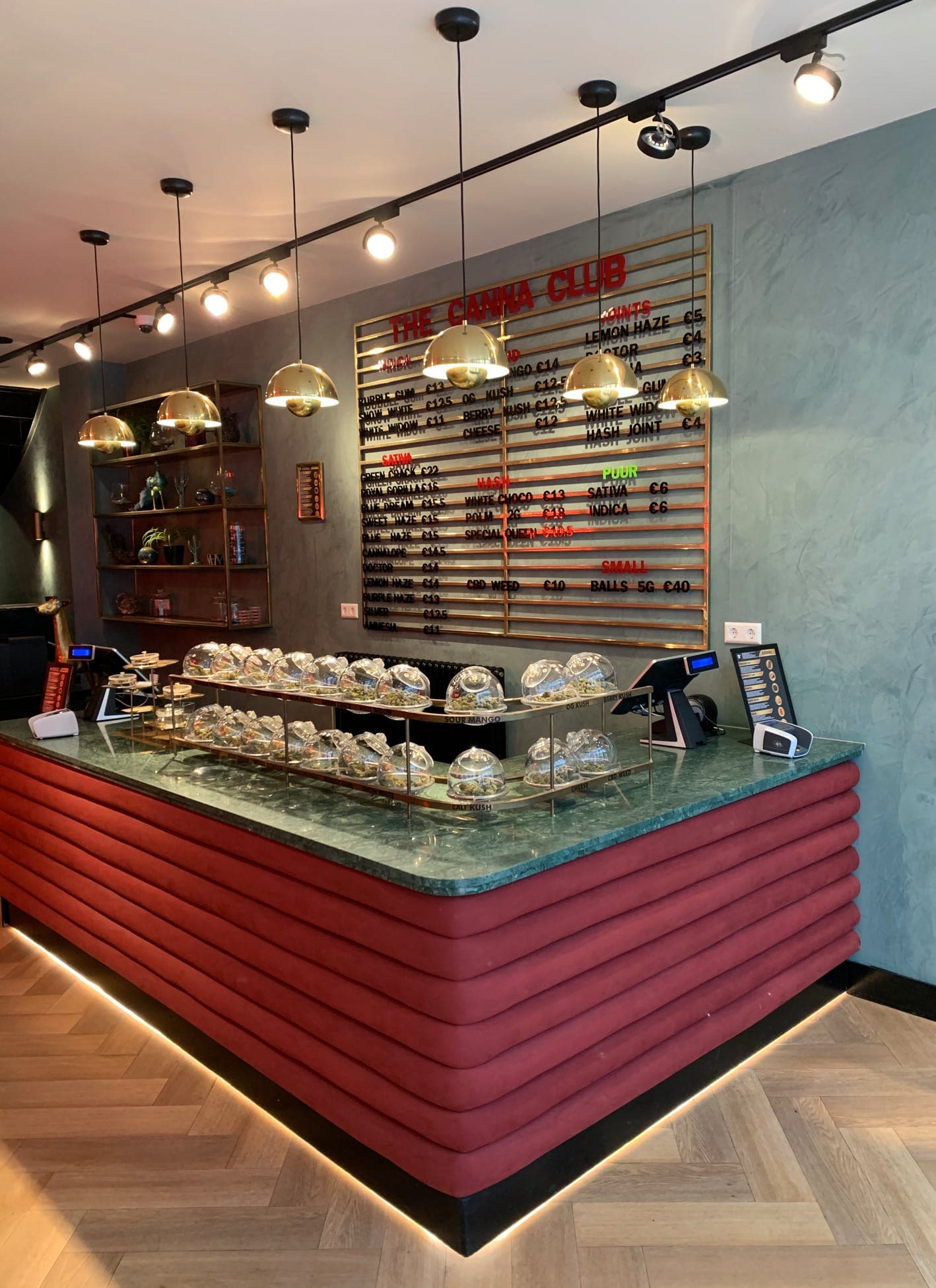 The Canna Club - Foto 1