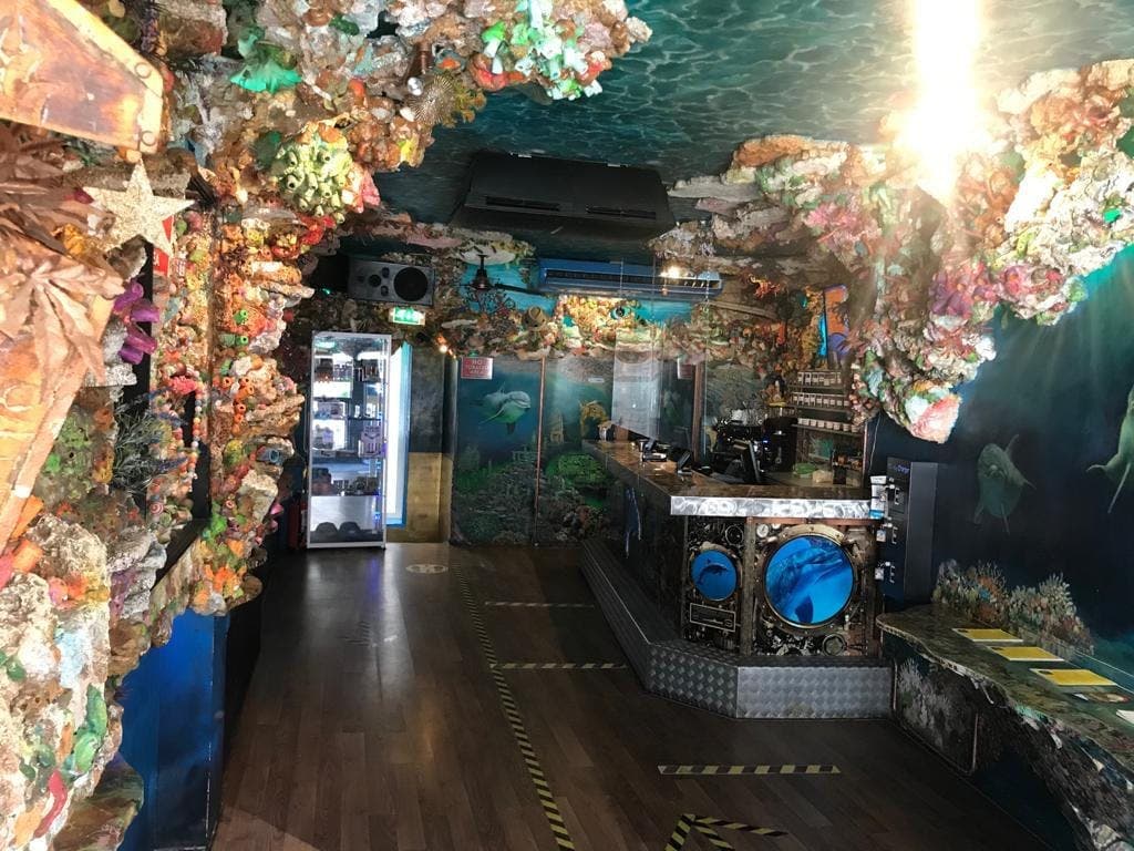 The Dolphins - Foto 2