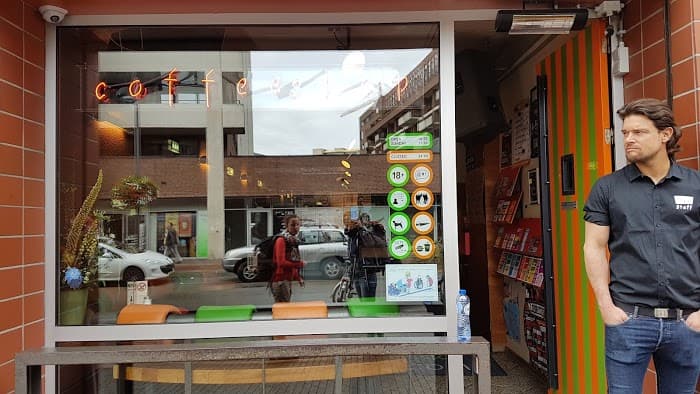 The Pink - Hoofdfoto