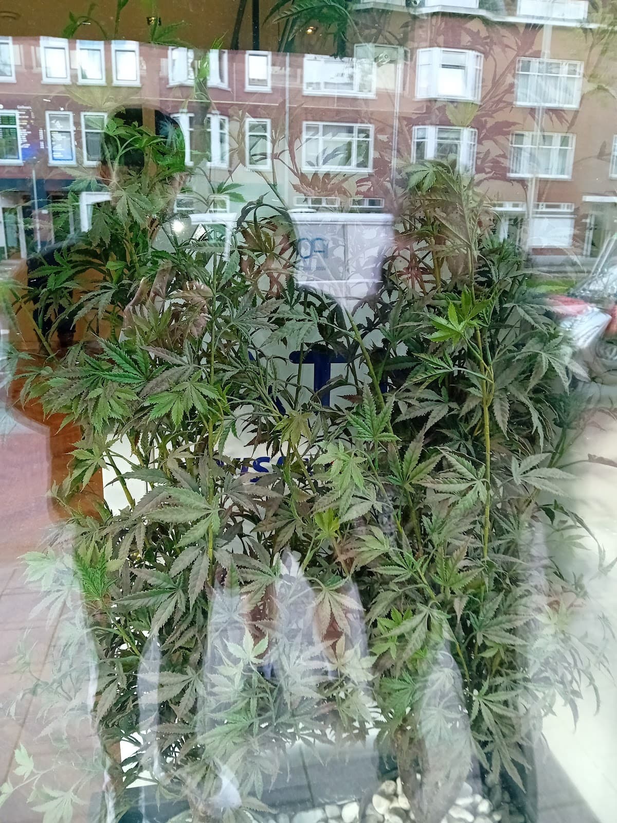 The Plug Rotterdam - Foto 4